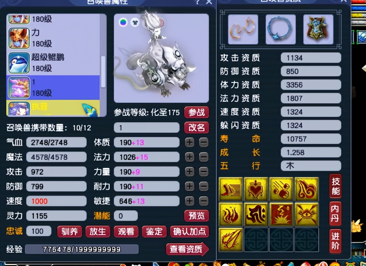 梦幻西游：开区仅仅1年多，玩家能将号玩成什么样？