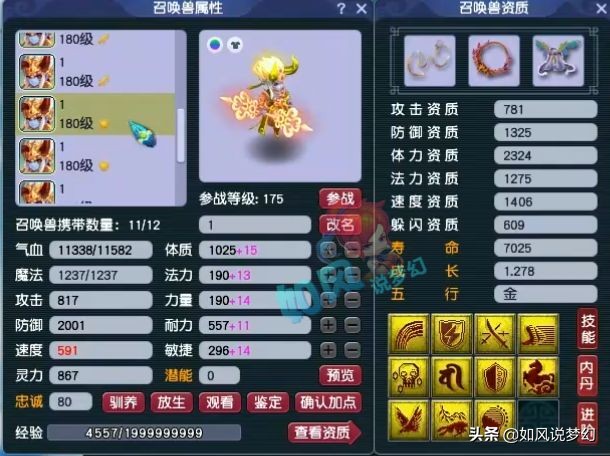 梦幻西游：渔岛B哥宝宝曝光，手握全服第1只净台+神马+力劈童子