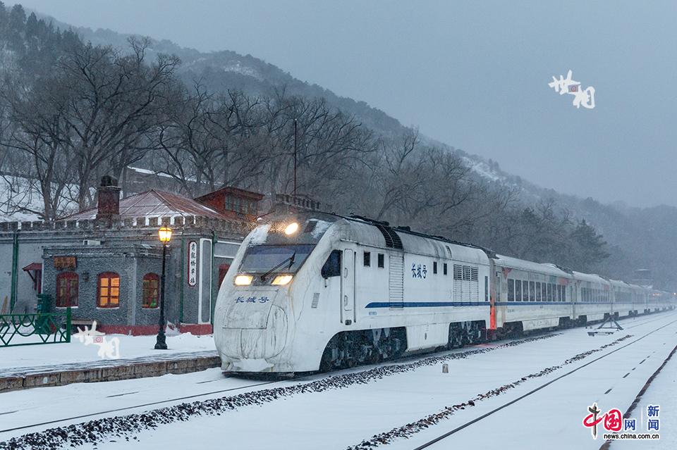 除夕夜守站人:我的“雪之梦”和《我的冬奥日记》(/17)