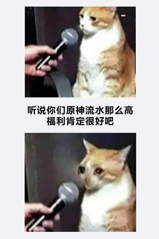 大家好,我是x博士.