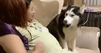 何为四柱八字(俗话说命由天定,那么何为命运?何为天)