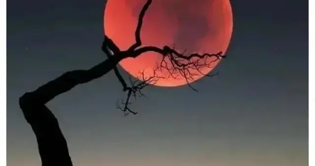 四柱八字一(八字为什么以日元为主)