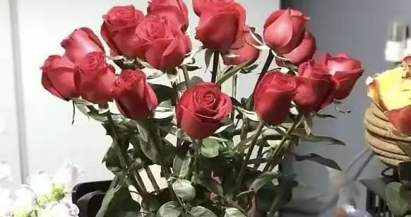 2019年处女座的你们都过的好吗?倒霉了很久也失业了很久,现在才好了点?
