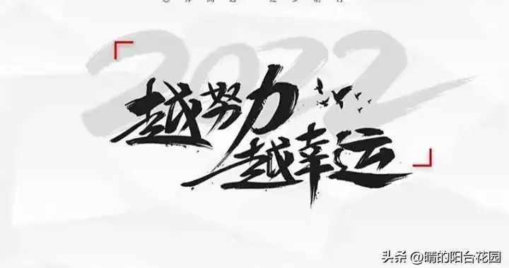 你信命吗？你从什么时候开始信命的？