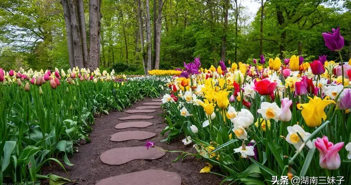 你相信命运吗，听说上天从前世就注定你的命运了是真的吗？