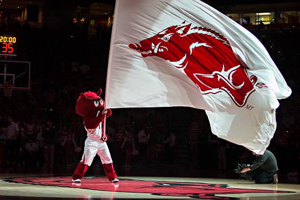 阿肯色大学野猪队arkansas razorbacks一方水土养一方人,野猪队出身的