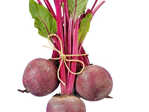 甜菜根是什么东西，甜菜根的功效与作用