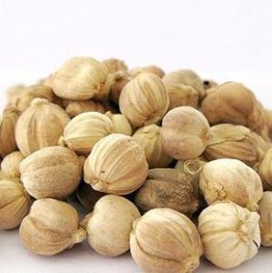 豆蔻的功效与作用（中药豆蔻主治功效）