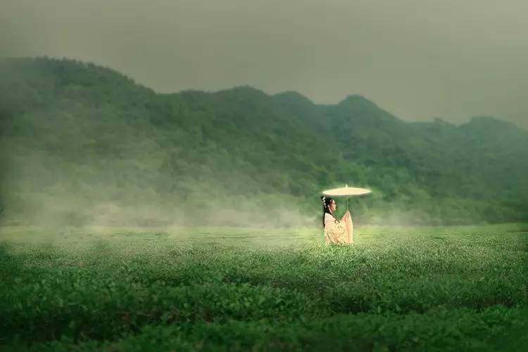 梦见自己迷路了是什么预兆（有关梦见迷路的3种解释）