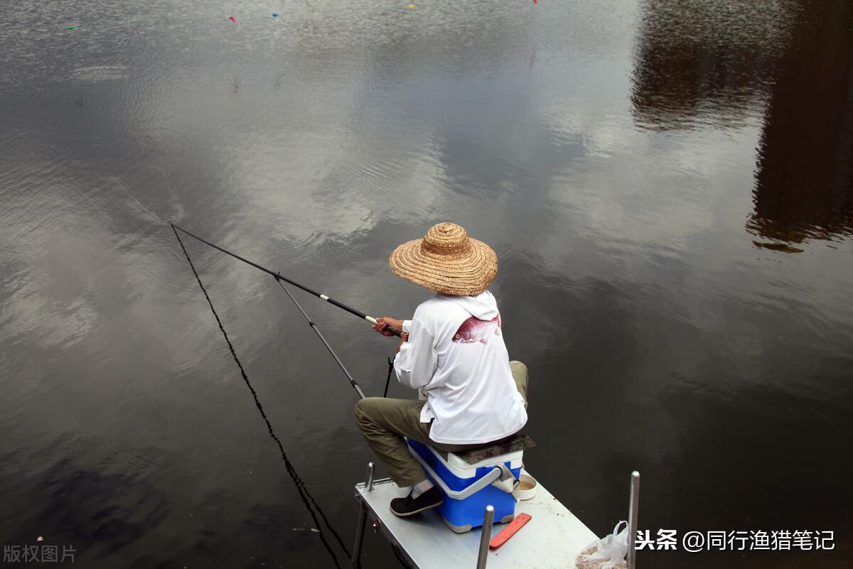 老三样是哪三样鱼饵（附：野钓鲫鱼老三样搭配方法）