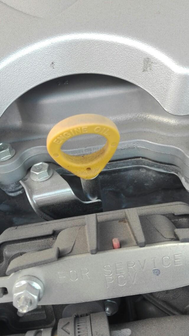 这是卡罗拉的机油尺,黄色的手环非常的显眼_卡罗拉车友圈_懂车帝