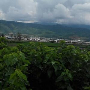 黑白世界无限精彩
