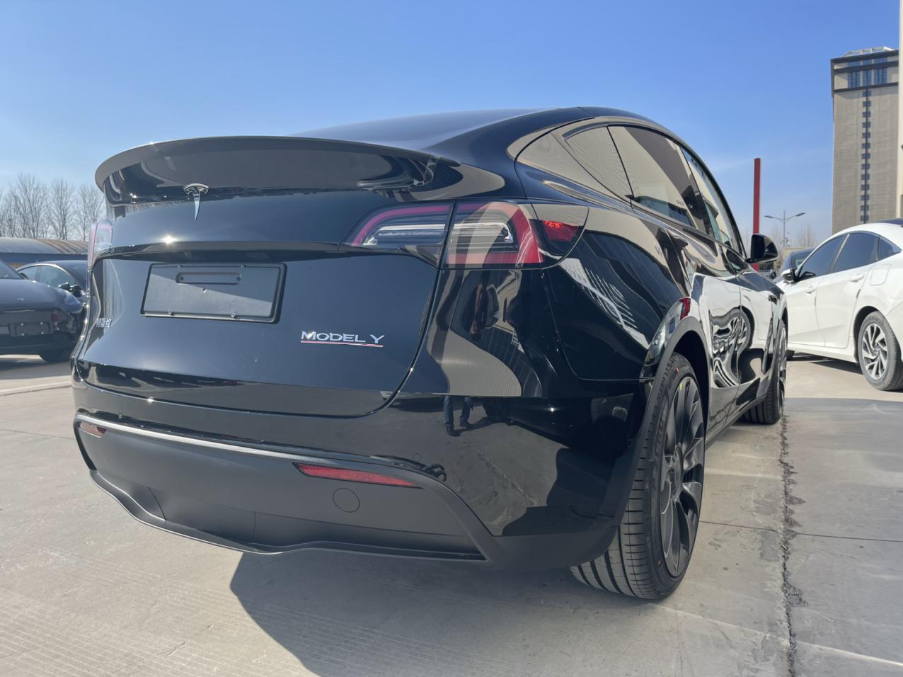 modelyp版终于等到了