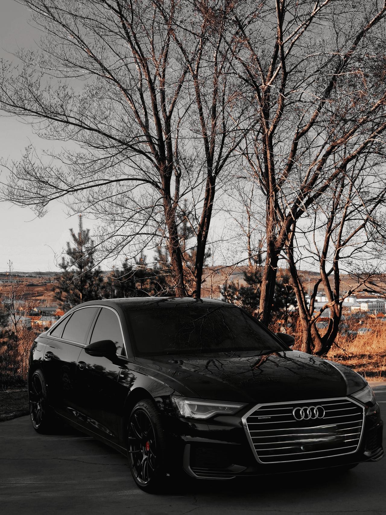 关于a6的一组照片