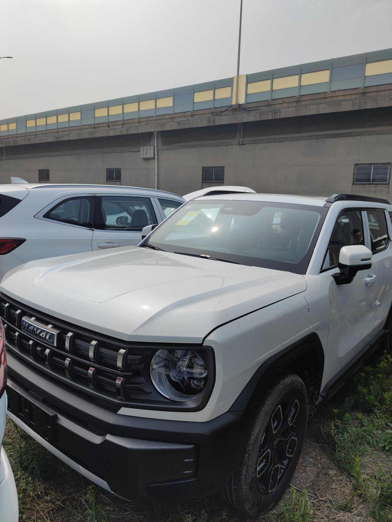 白色酷狗照_哈弗酷狗车友圈_风和自由5566_懂车帝