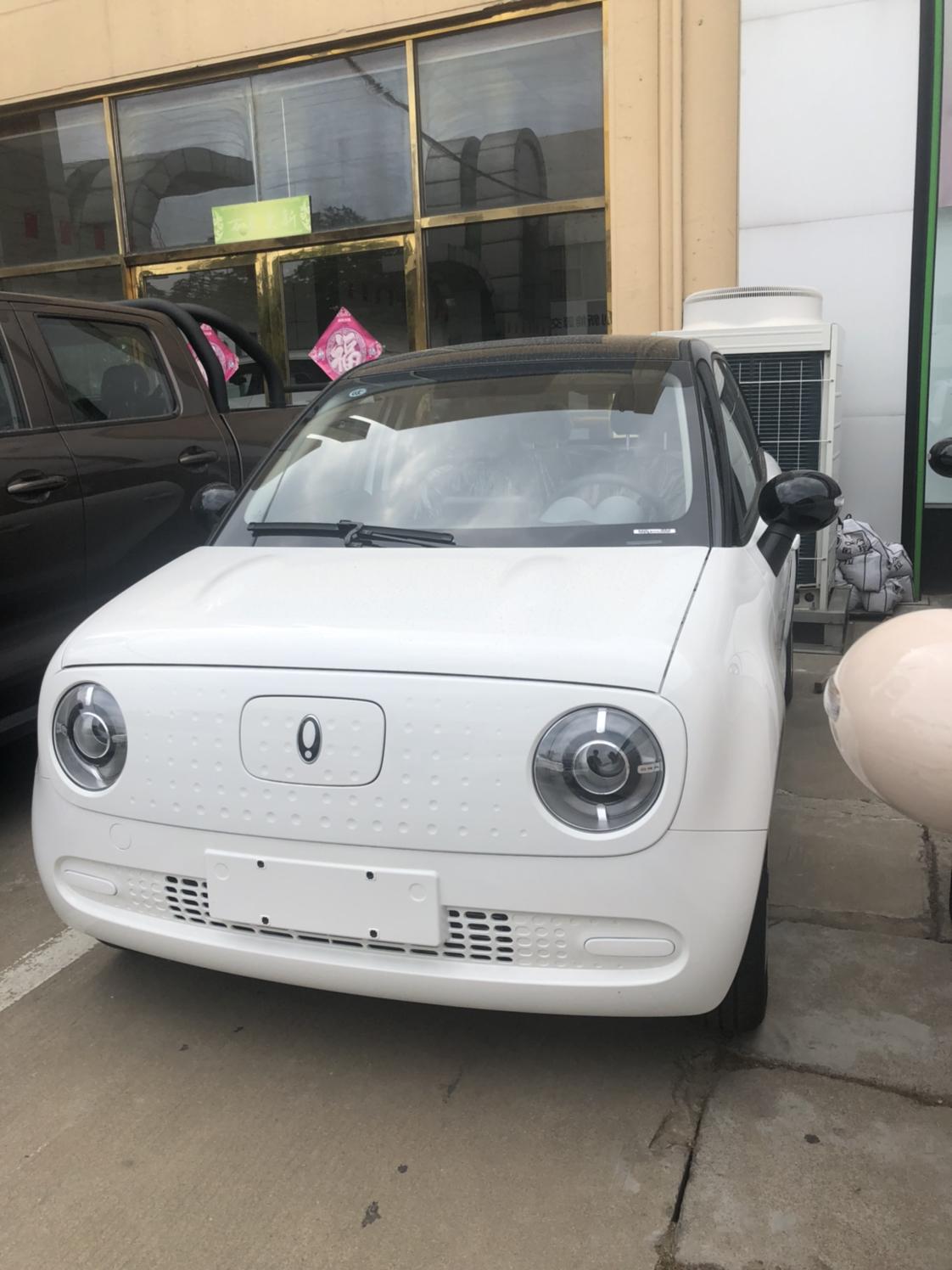 欧拉黑猫301基础版,黑白色,转_欧拉黑猫车友圈_懂车帝