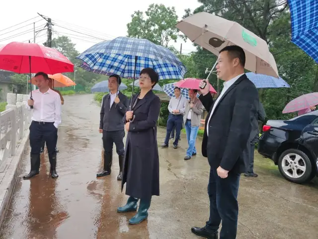 湘潭市领导带队督查花石水库防汛工作