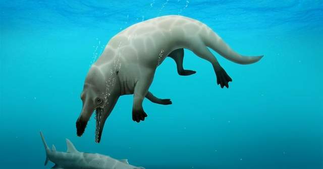 晚报|网信办禁止PUSH弹窗八卦绯闻 郑爽发致歉信