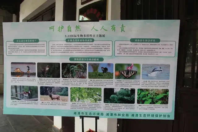 呵护自然 人人有责丨湘潭市生态环境局联合多部门开展“国际生物多样性日”宣传活动