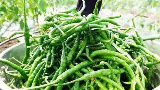 湘潭县商务局：用心打好商贸流通“组合拳”