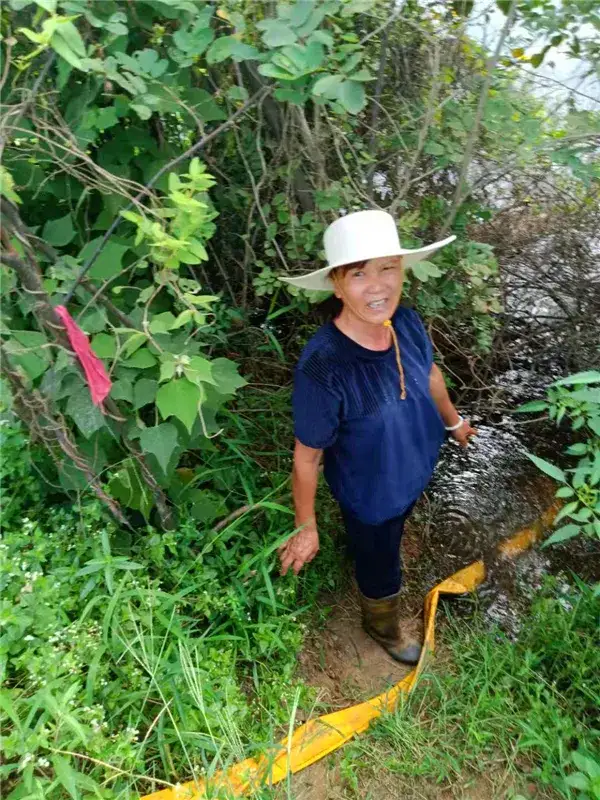 回乡女老板复垦农田成种粮大户
