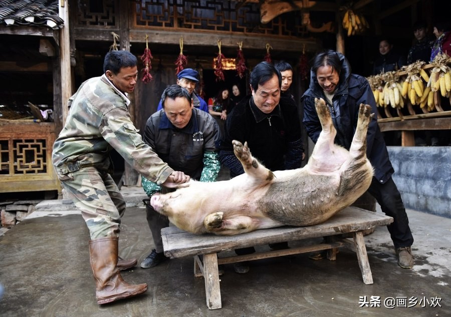 杀年猪是汉族和少数民族的传统年俗 平时杀猪家里人一时半会吃不完，-今日头条