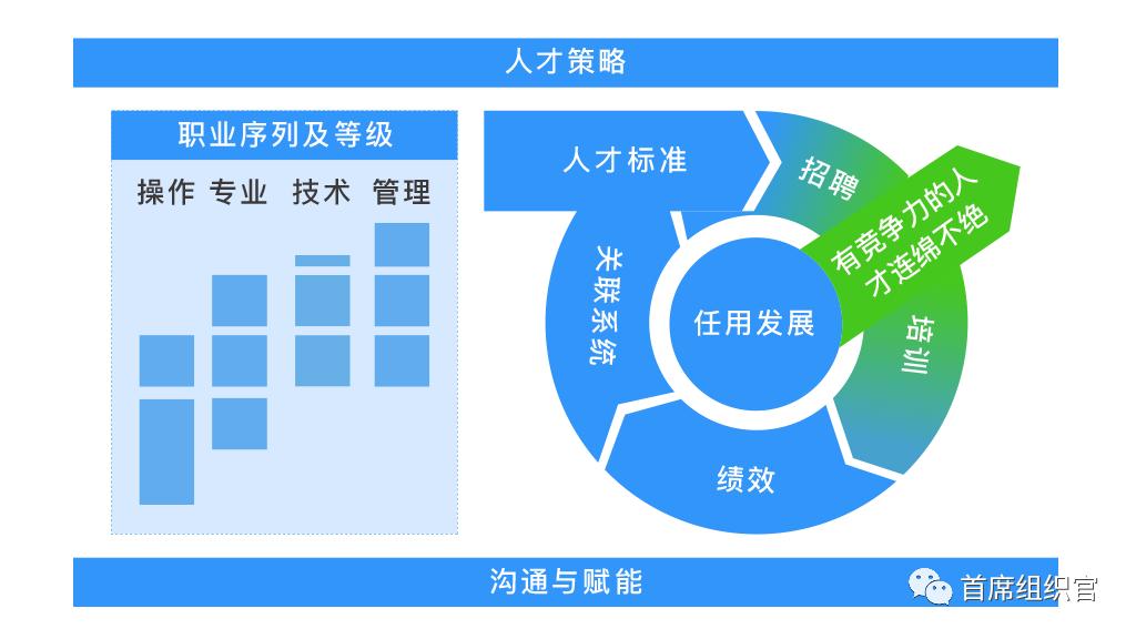 左谦&房晟陶:HR如何提升组织洞察力?