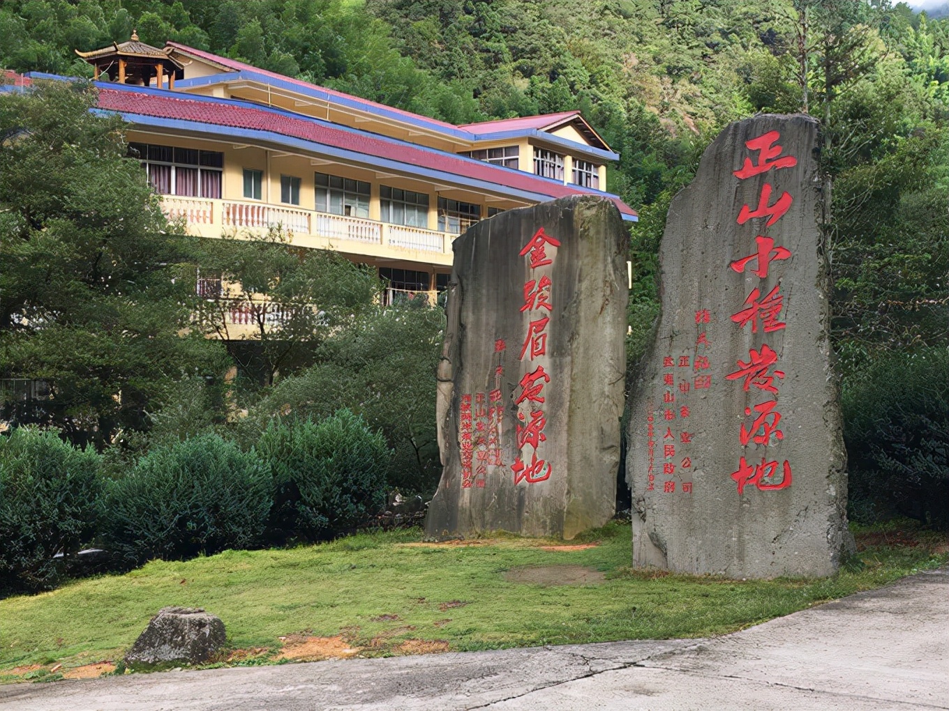 小喜年-世界的“红茶鼻祖”，很多人都喝过却不知道它的“真面目”