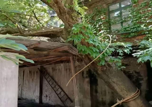 「我为群众办实事」湘潭交发集团为职工解忧为群众排难