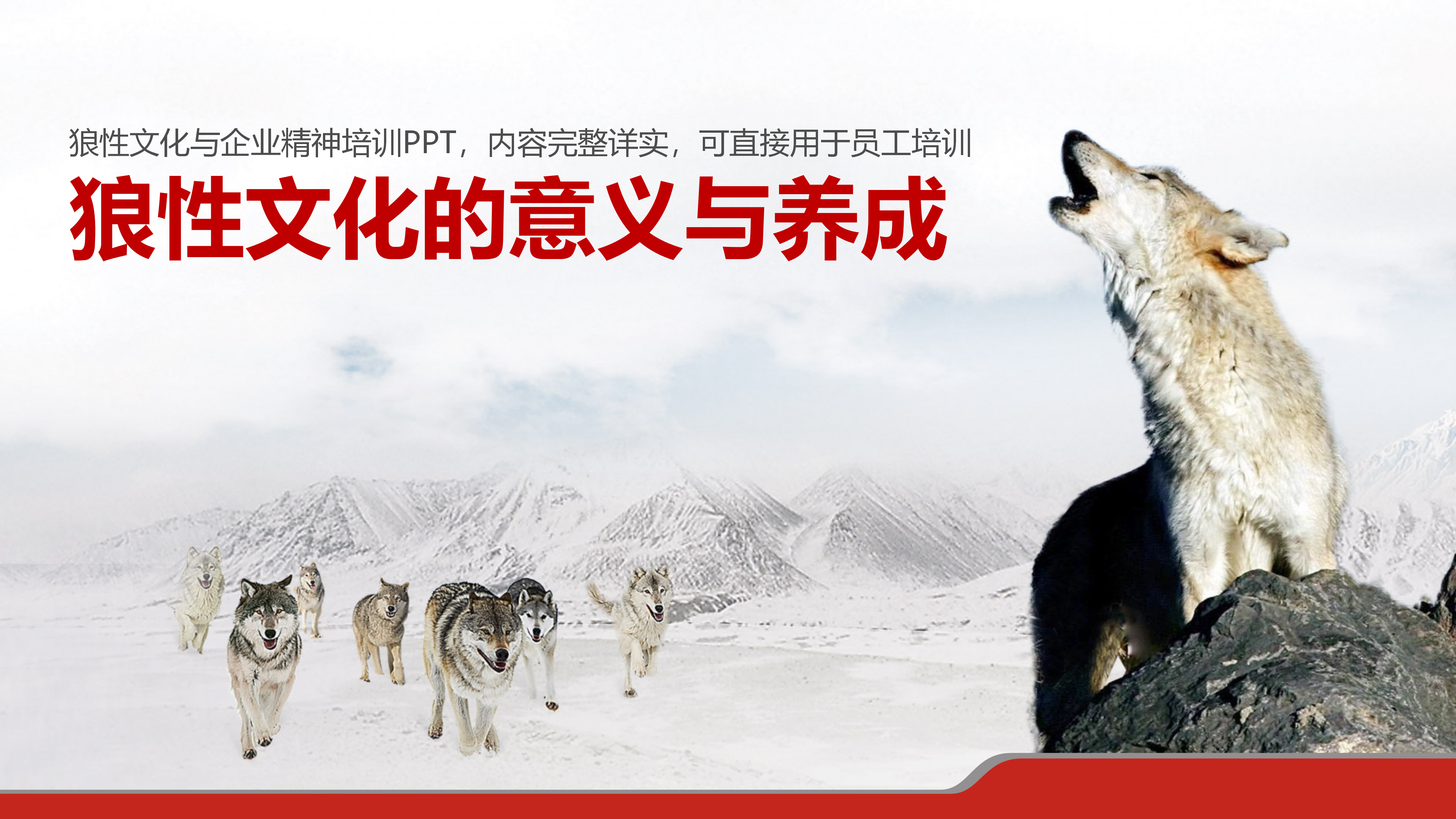 总经理总监，今日分享狼性文化的意义与养成，狼性文化与企业精神培训PPT