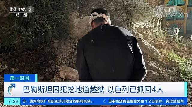 晚报|警方通报武汉枪击案、莆田已形成两条传播链