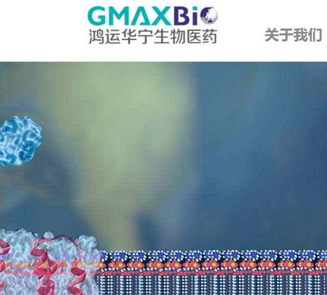 鸿运华宁：中国的“重磅炸弹”新药已经在路上 公司 第1张