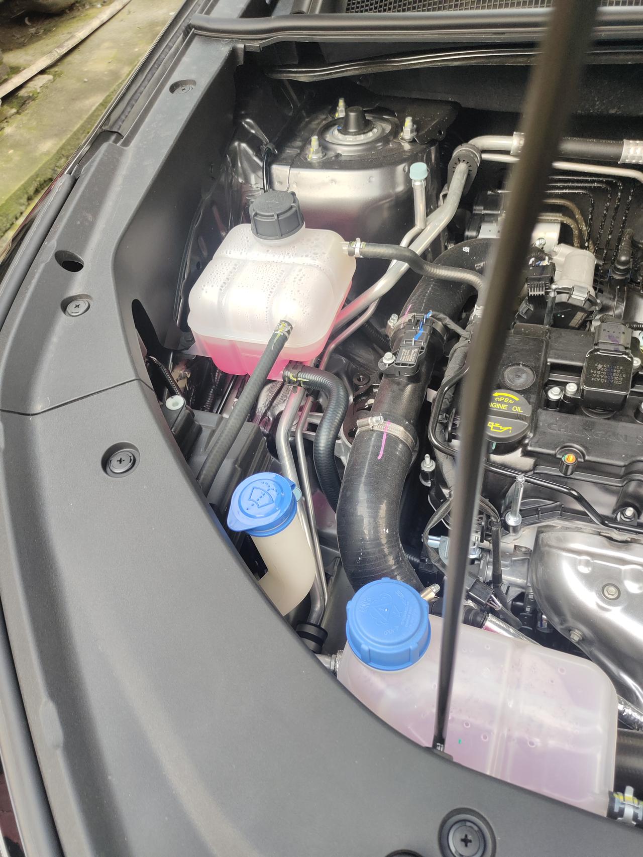 各位老司机这三个哪个是玻璃水哪个是防冻液啊_长安cs75 plus车友圈