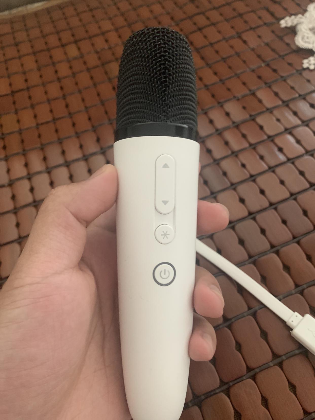 比亚迪麦克风怎么充电的