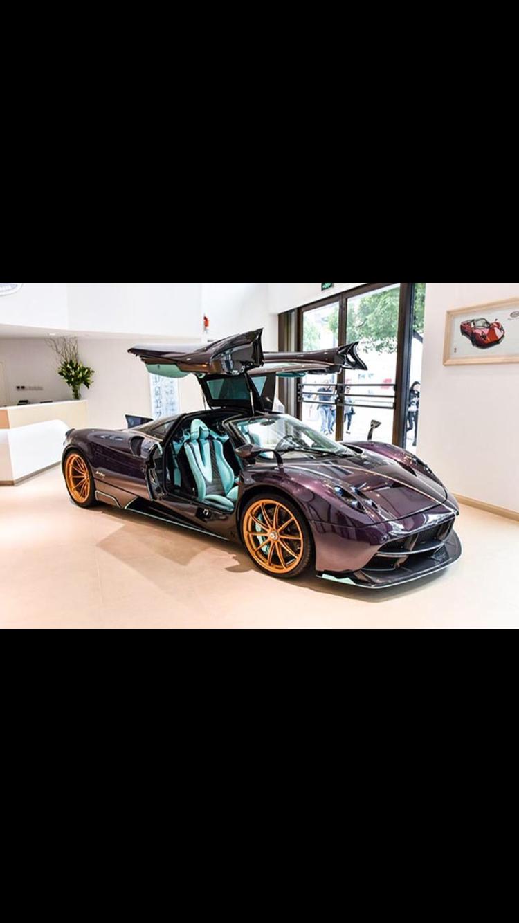 千万元限量版帕加尼风之子_huayra车友圈_懂车帝