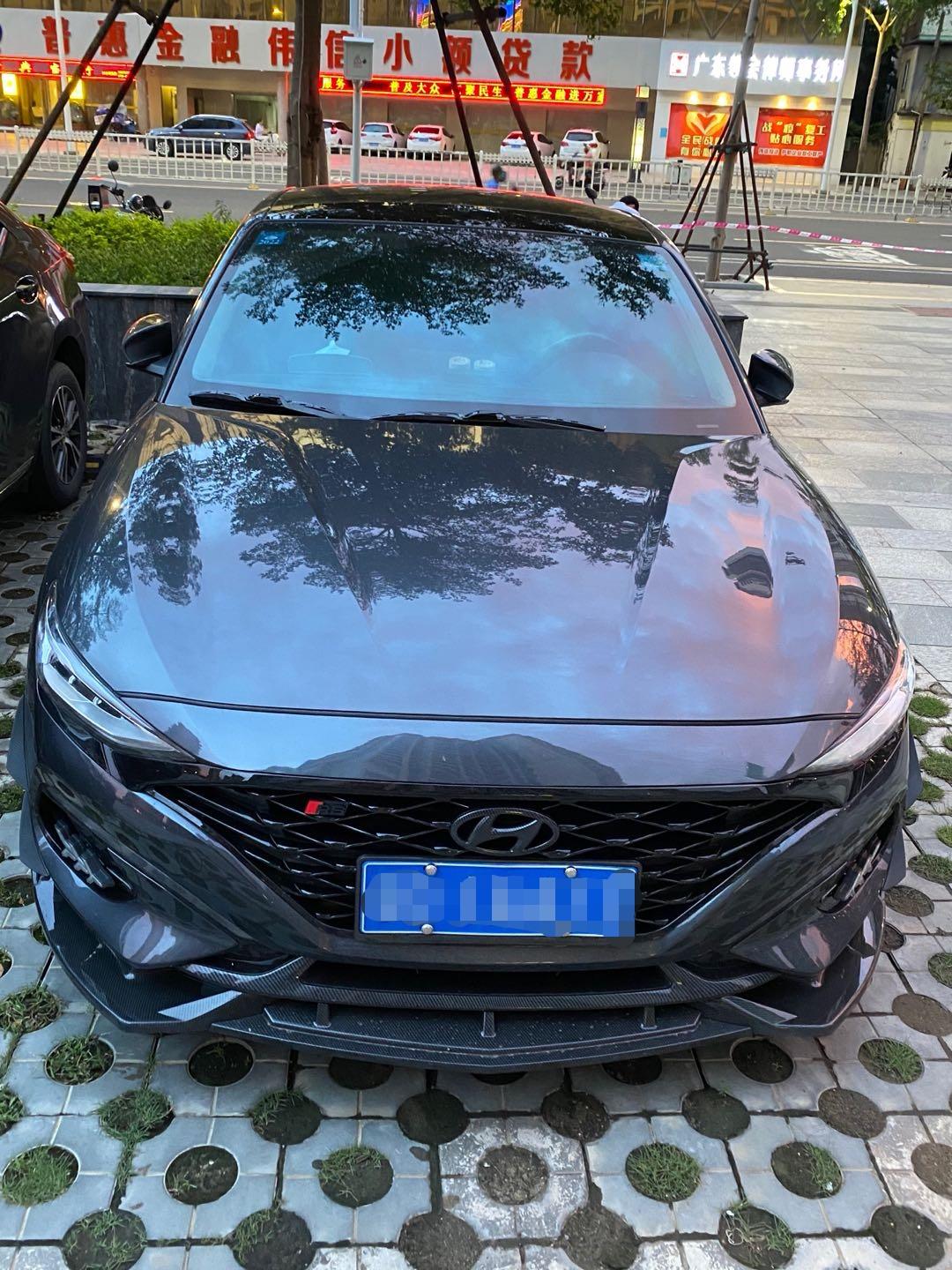 菲斯塔龙鳞中网