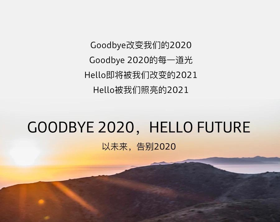 goodbye 2020 2020实"鼠"不易有感动有收