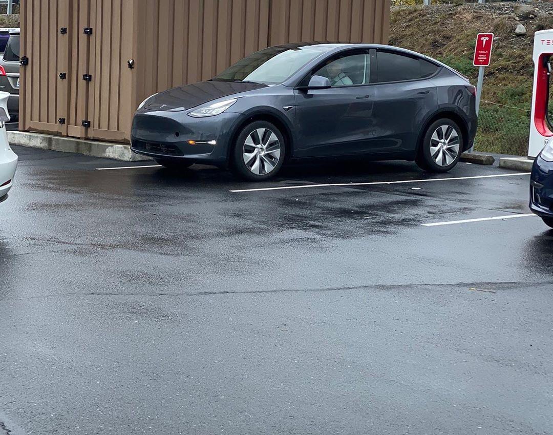 model y还是挺好看的,车屁股完全得model x真传