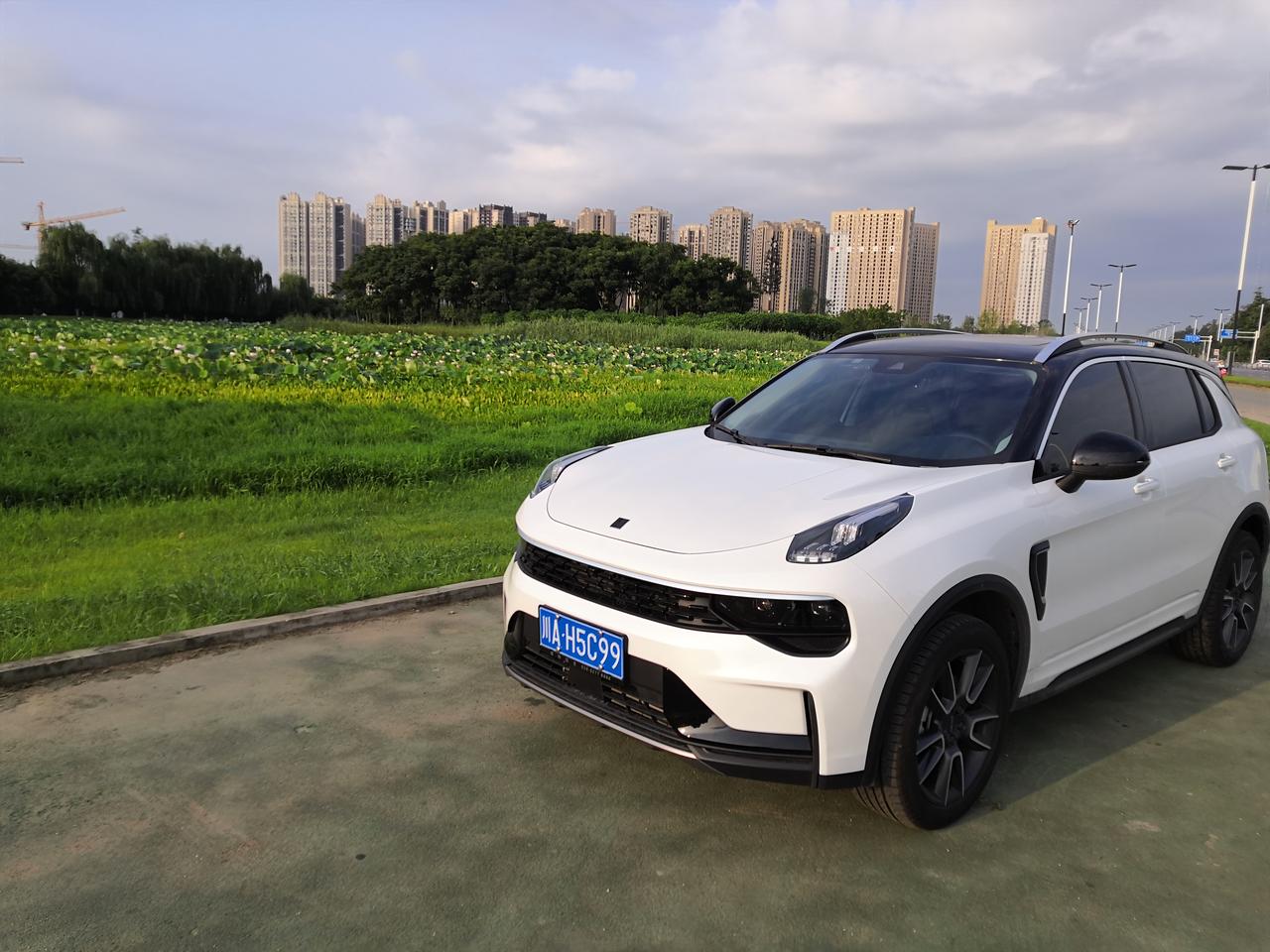 白车黑顶—型_领克01车友圈_领奖小哥哥_懂车帝