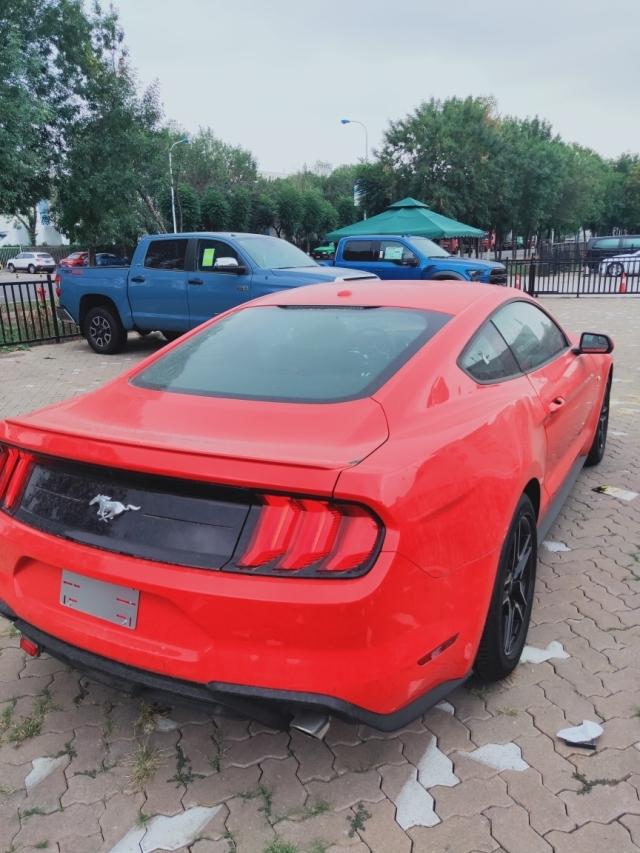 性感小野马,港口多量_mustang车友圈_懂车帝