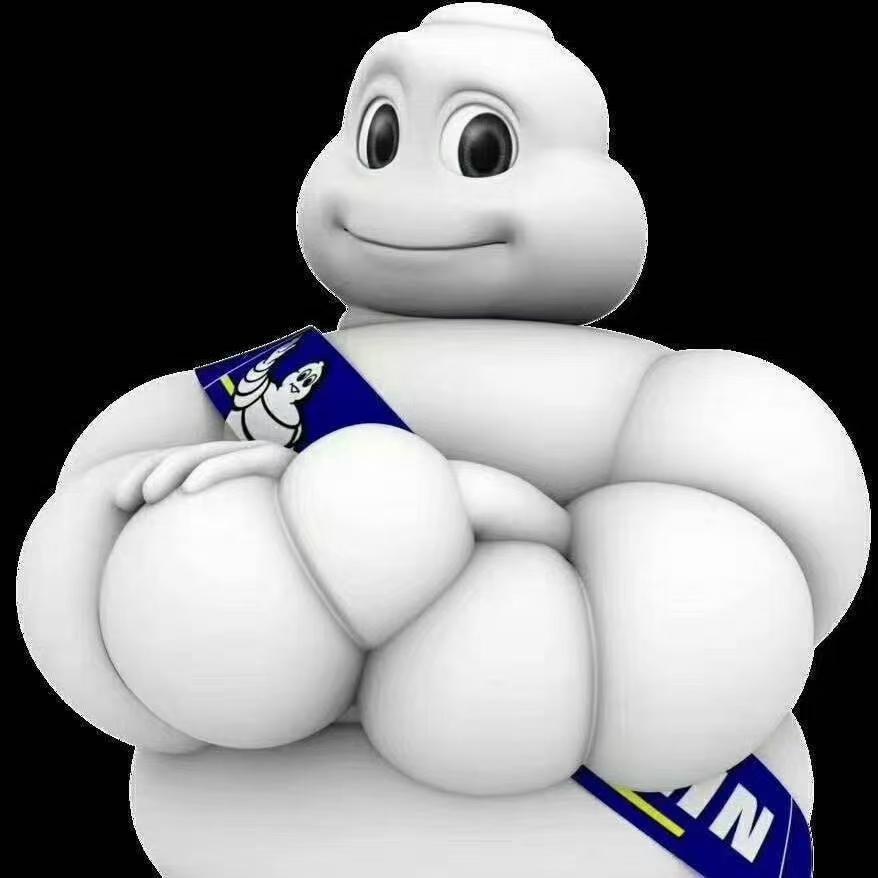 米其林轮好不好什么价