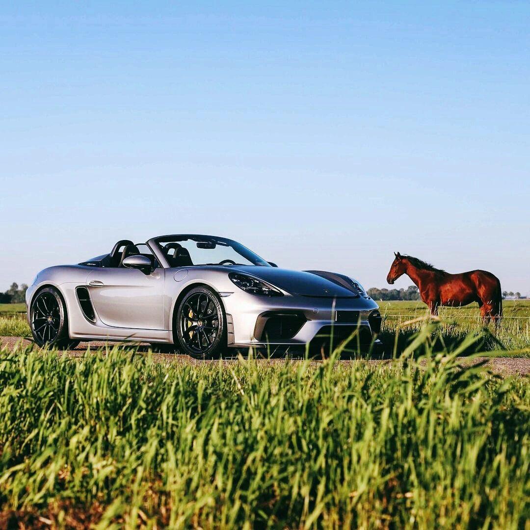 一匹矫健的骏马保时捷718spyder