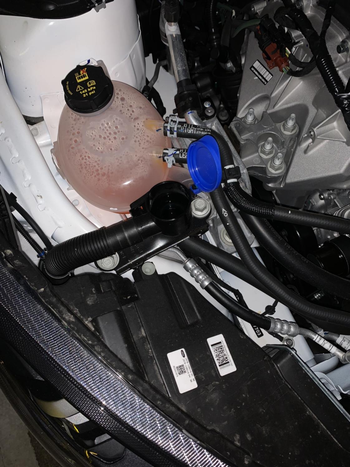 关于玻璃水添加_福克斯车友圈_天空欧派_懂车帝