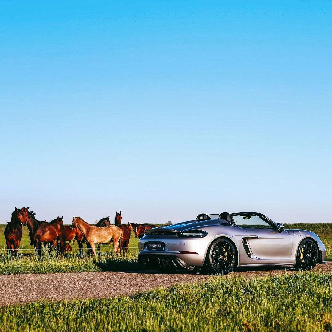 一匹矫健的骏马保时捷718spyder