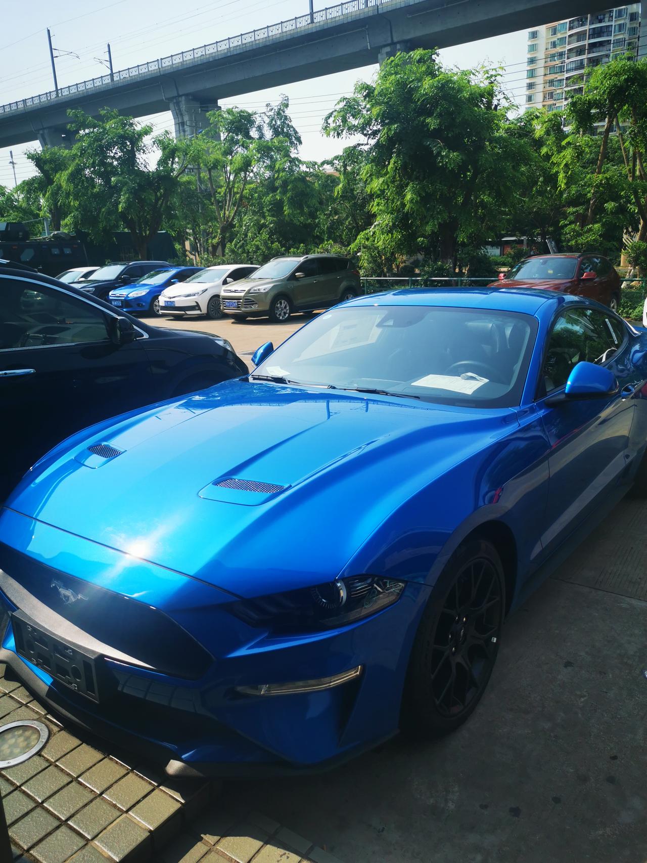 今日提极速蓝中规版一台,变速箱没有顿挫感,之前试驾了朋友的1