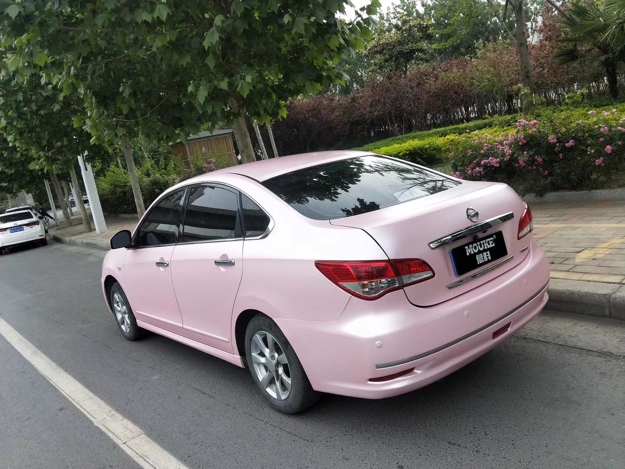 车型-尼桑轩逸搭配-ax电光樱花粉源于-ax03高端色彩车