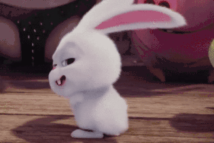 313_209gif 动态图 动图