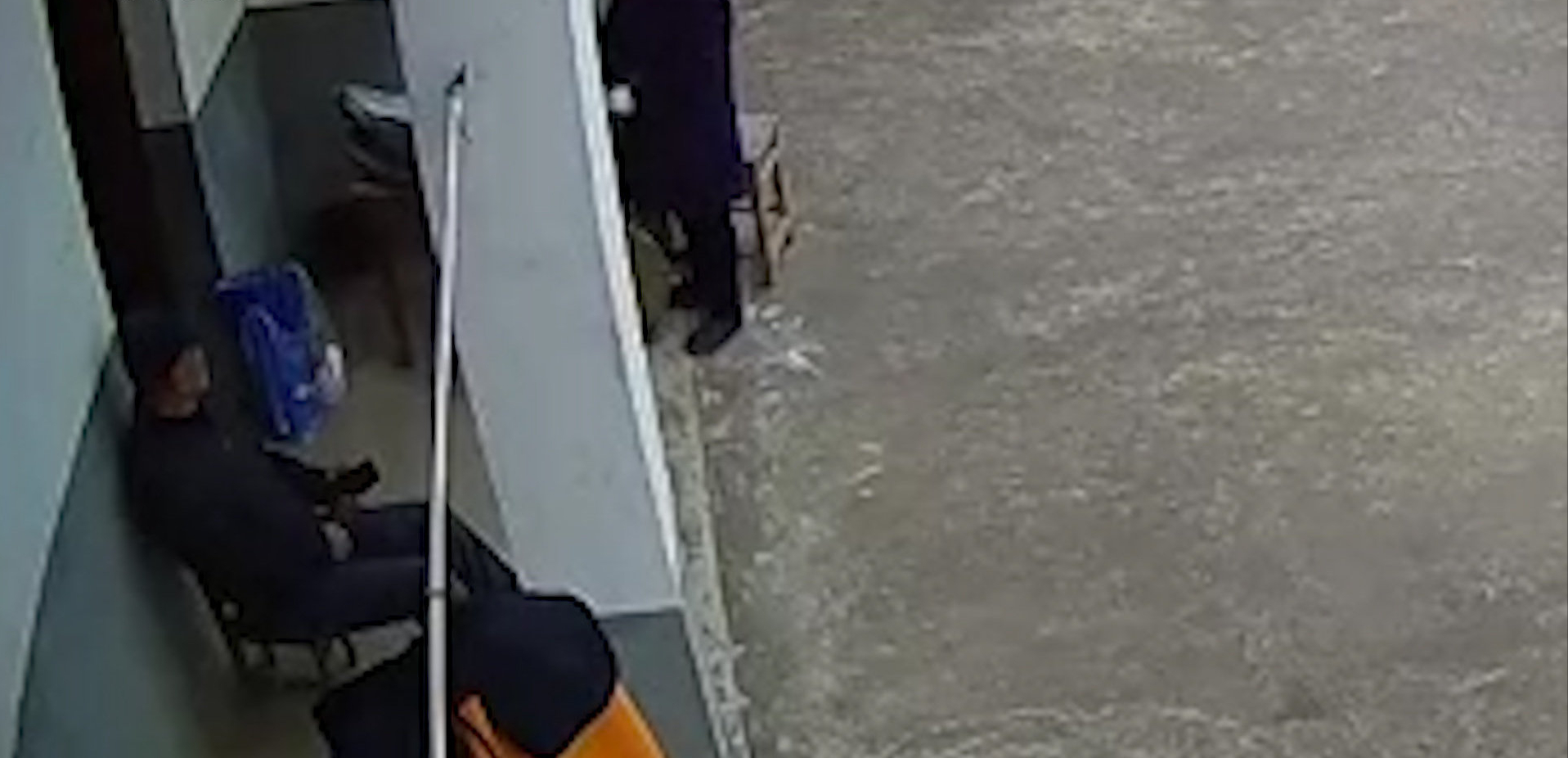 监控|四姐妹通过监控看空巢父母日常 看到父母的身影感到非常心酸