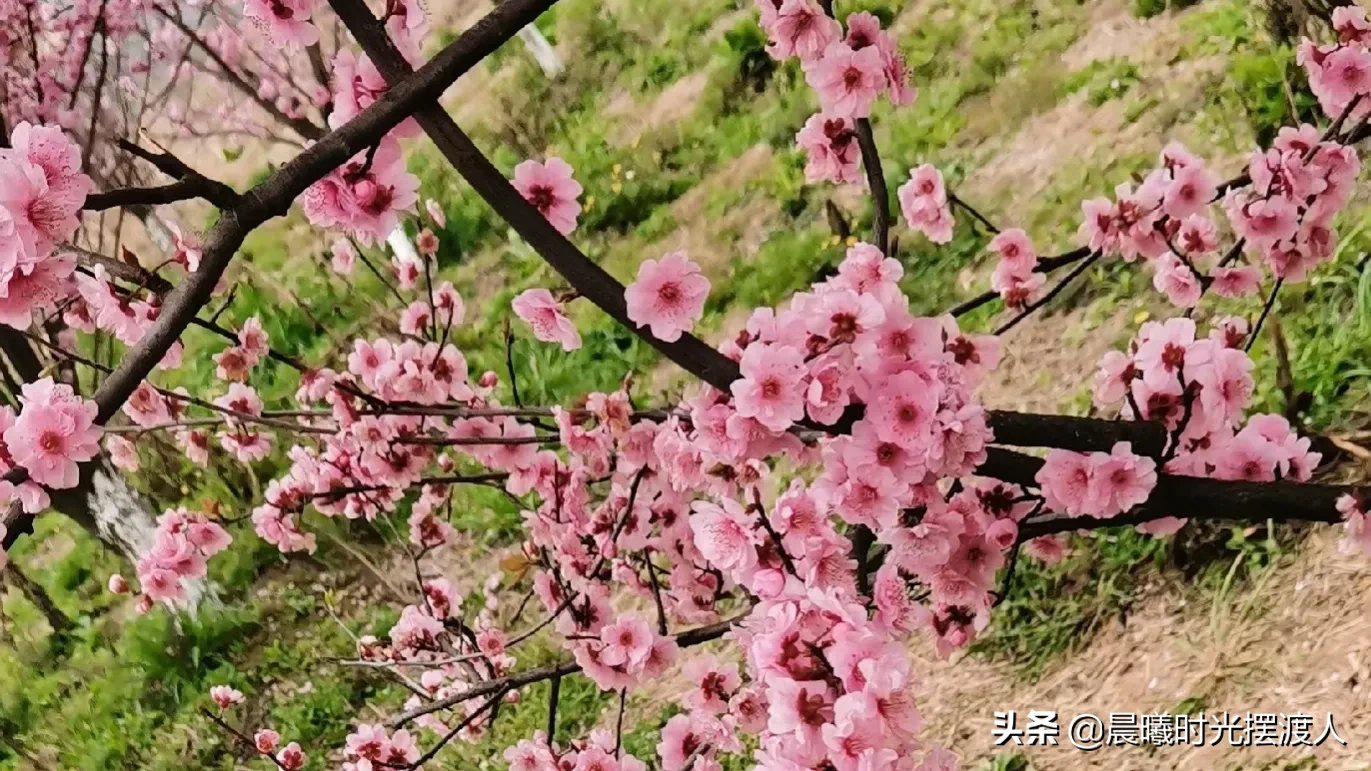 乍暖还寒惊蛰时今天是二十四节气中的第三个节气，惊蛰,代表天气回暖，春雷始鸣