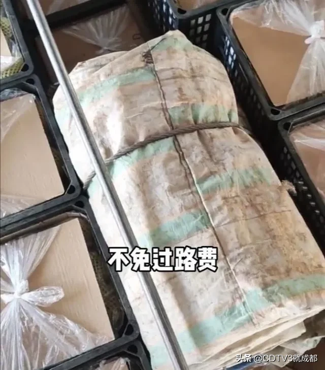 40斤|运17吨苹果因40斤篷布被收过路费 处置不恰当已退还过路费